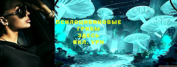 твердый Абаза