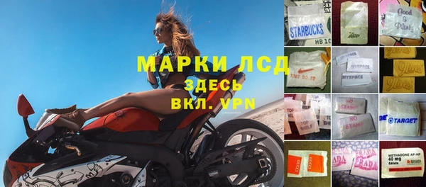 твердый Абаза