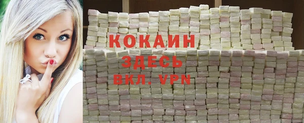 твердый Абаза