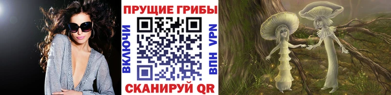купить наркотик  Хасавюрт  Галлюциногенные грибы прущие грибы 